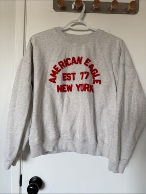 American Eagle Outfitters Gray Crewneck Sweatshirt
